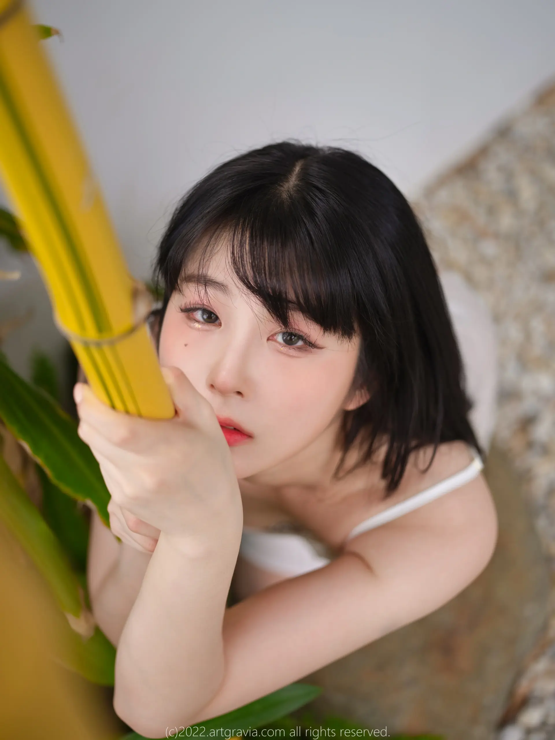 ArtGravia – 写真合集下载插图1