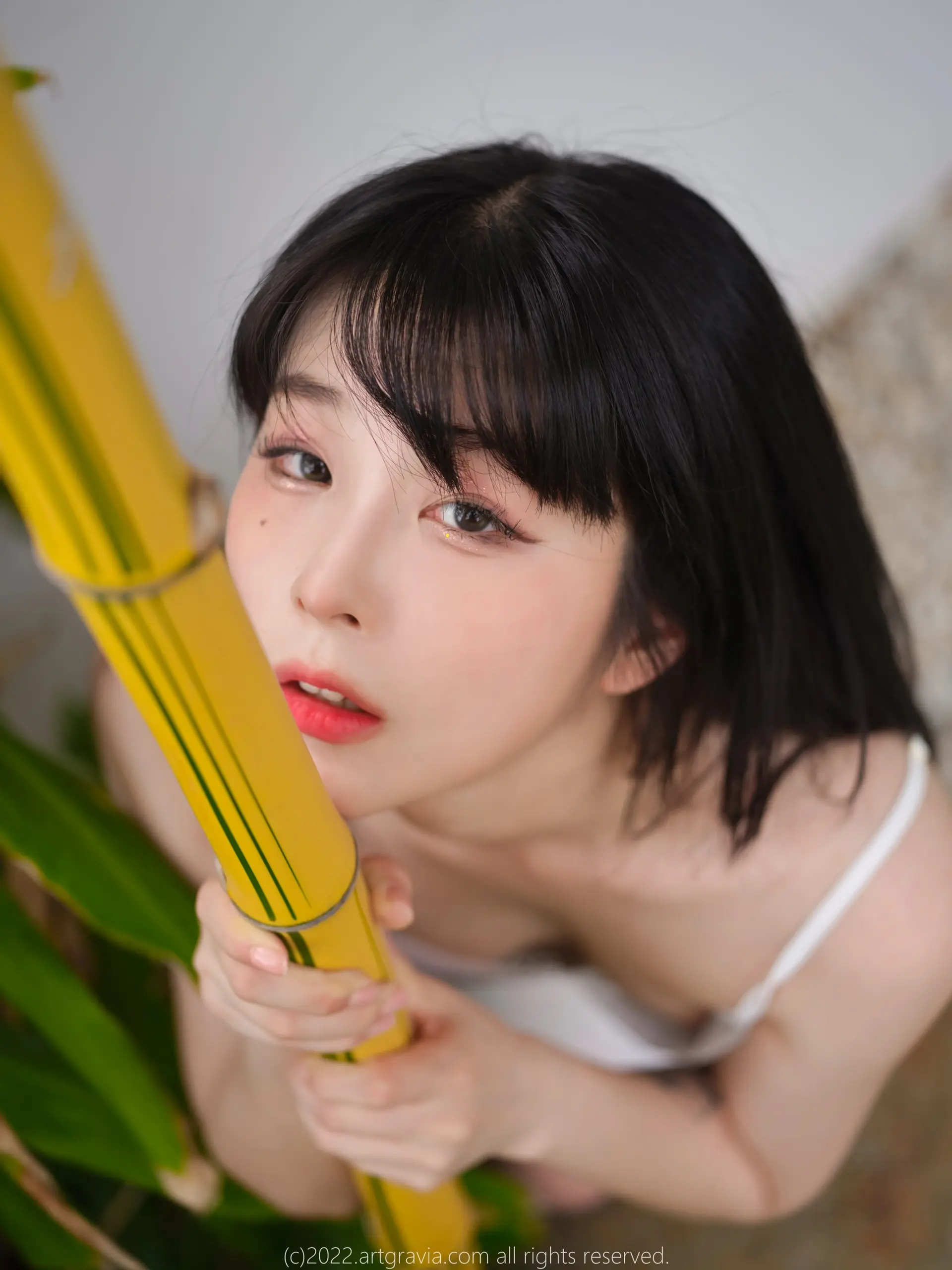 ArtGravia – 写真合集下载插图2